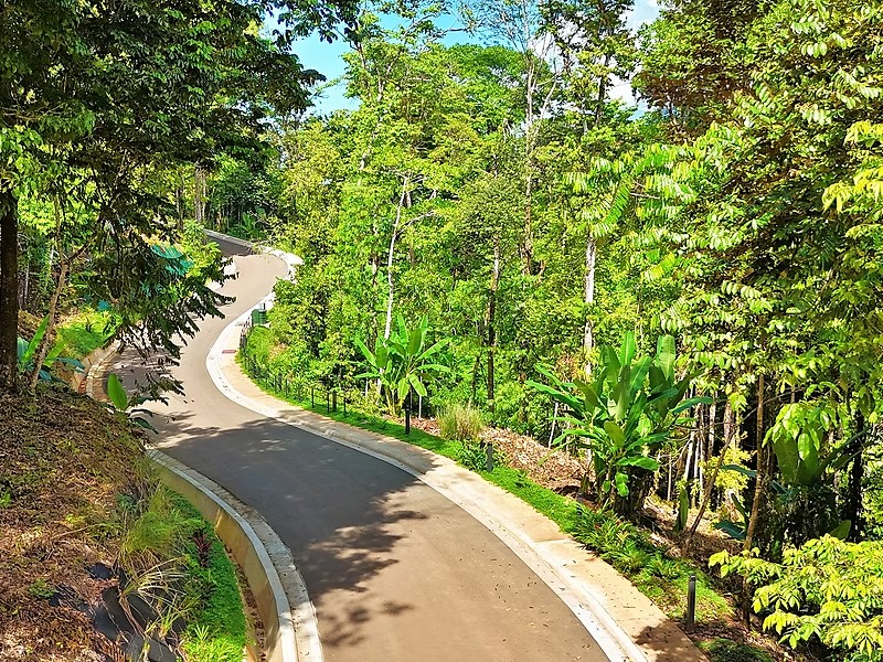 The road through Dulce Pacífico — paved and kerbed, with a sidewalk, planted verges and path lighting, curving uphill through the rainforest
