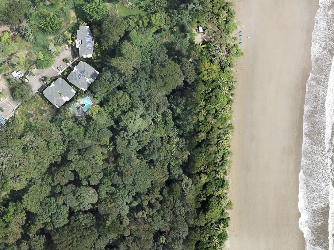 Elan at Ballena Beach from directly above — the residences and pool at left, the palm line behind them, and the sand and surf of Playa Ballena at right