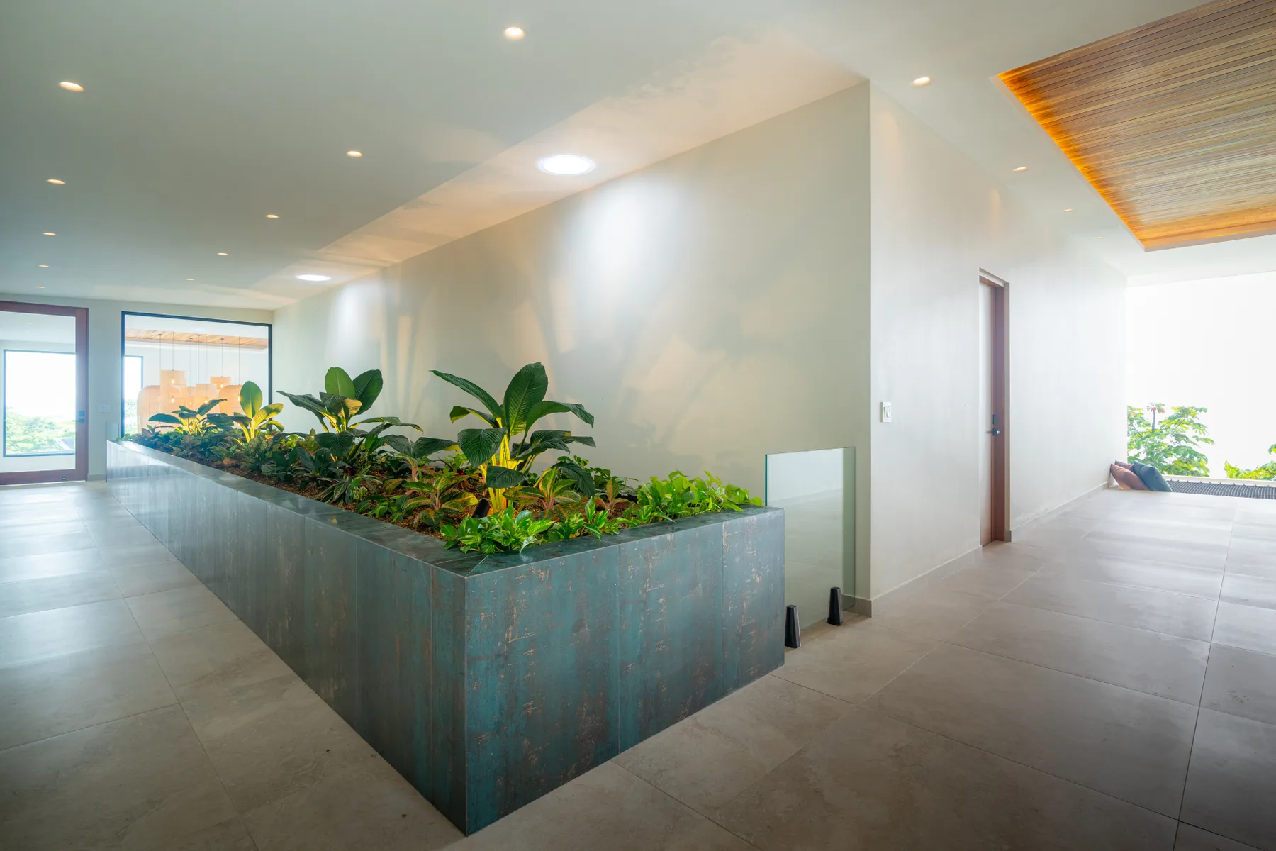 Acqua Blu &mdash; the planted gallery