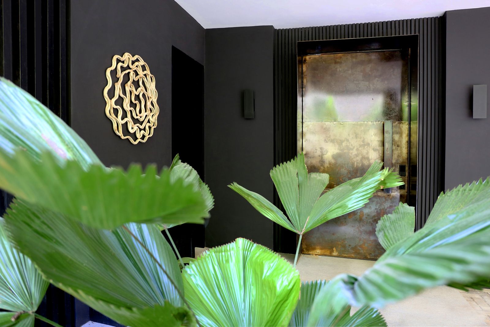 The entry hall, dark-walled and planted