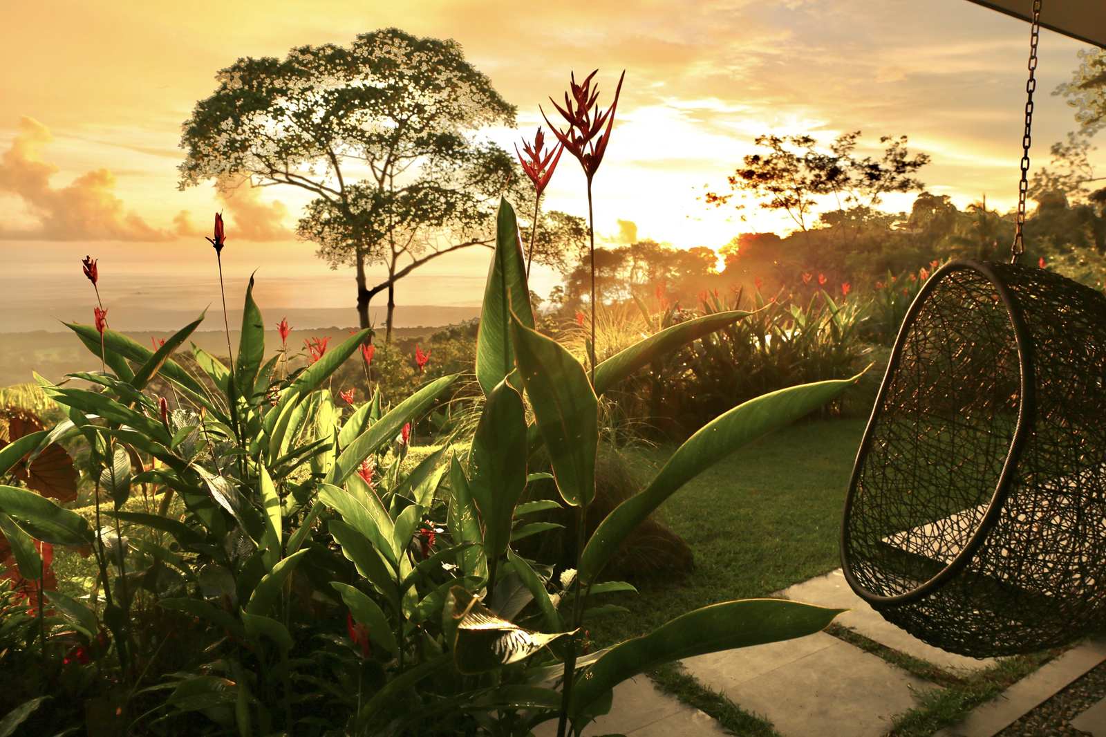A hanging chair in the garden at sunset