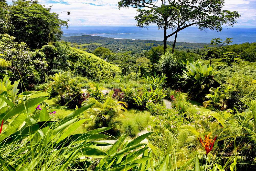 Dense garden planting with the coastline visible beyond