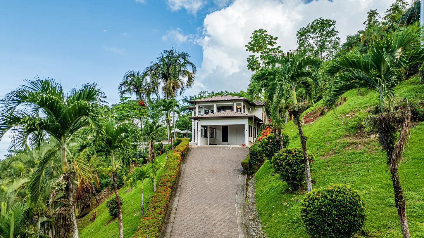 Casa Ballena &mdash; the drive climbing up through mature planting