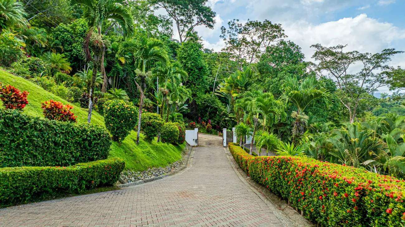 Casa Ballena &mdash; the planted approach to the house
