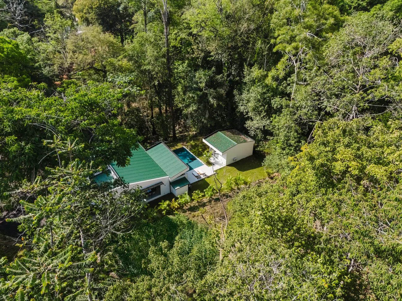 Casa Escondida &mdash; the house and pool set into the forest, seen from above