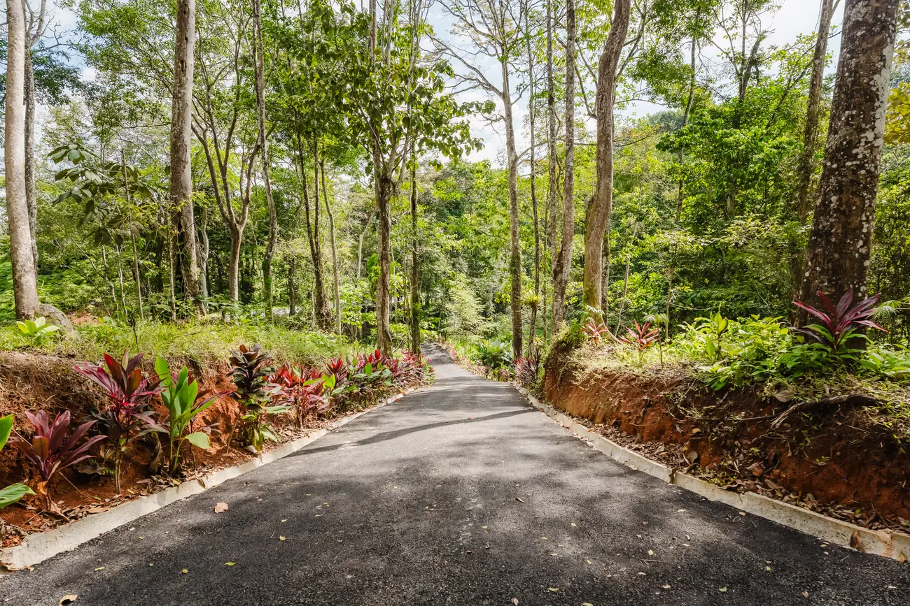 Casa Escondida &mdash; the paved drive curving up through planting