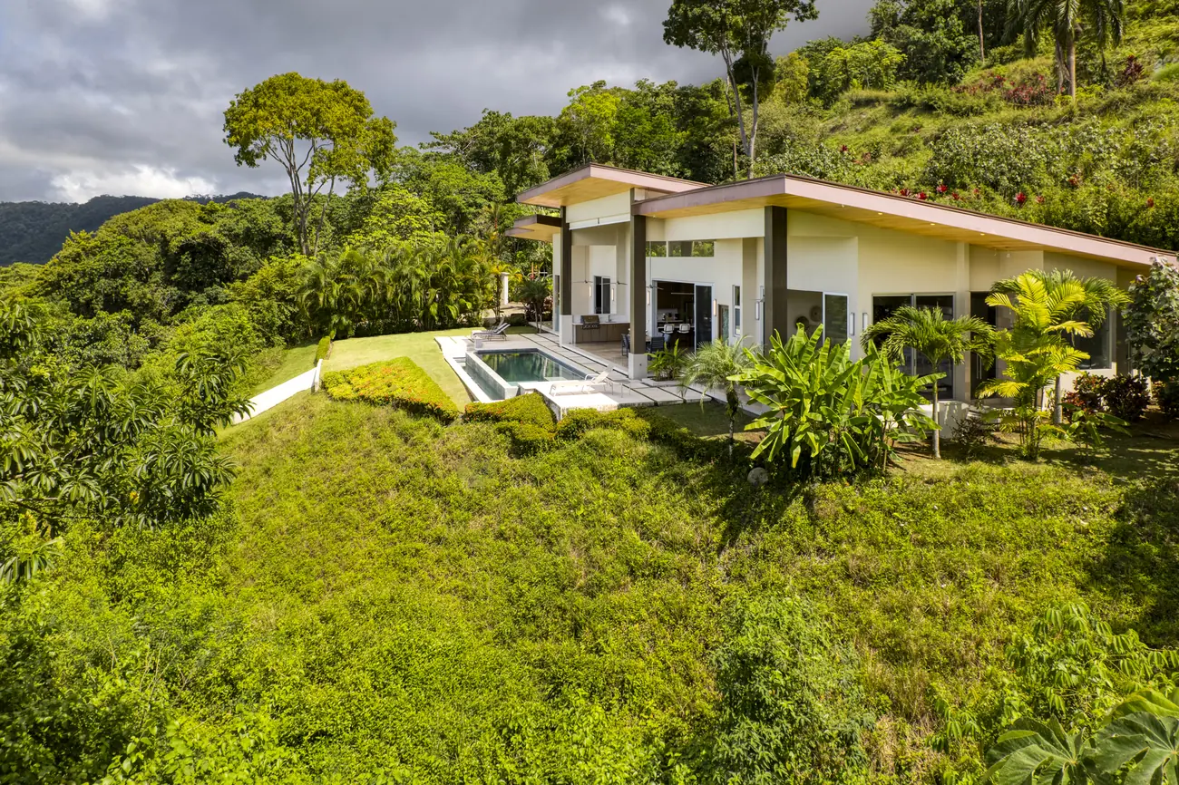 Casa Horizonte &mdash; the house set into the canopy