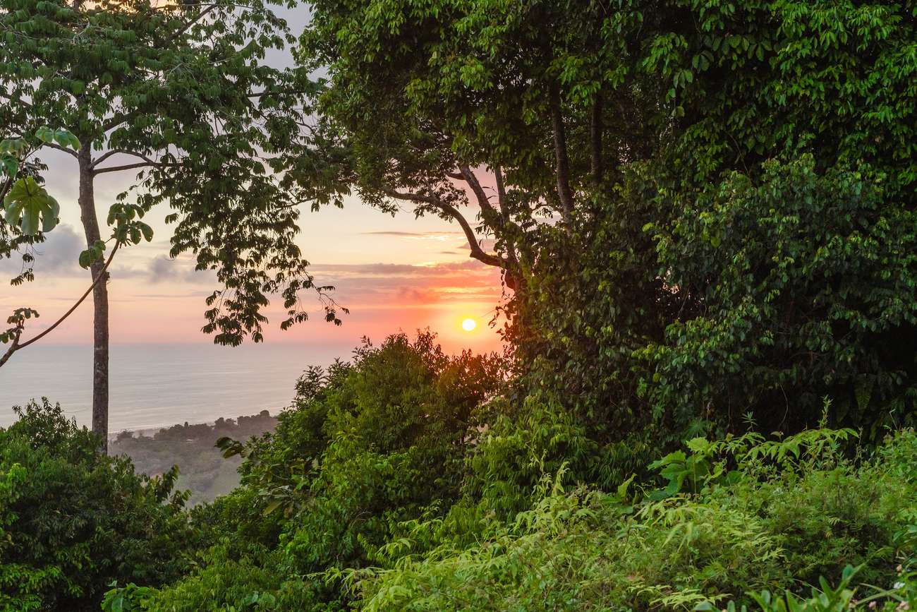 Casa Monta&ntilde;a &mdash; Sunset through the trees on the western boundary