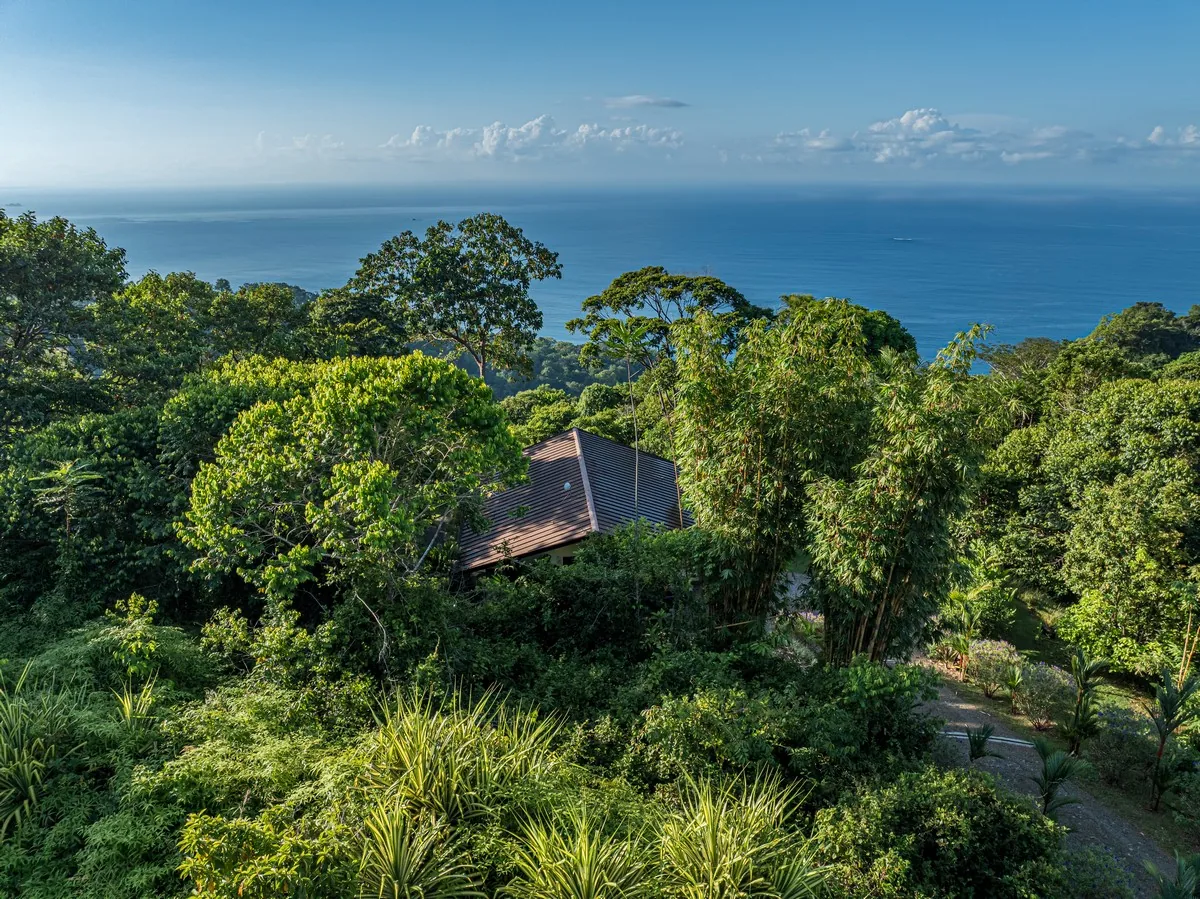 Casa Ola Azul &mdash; the house in its forest setting above the coast