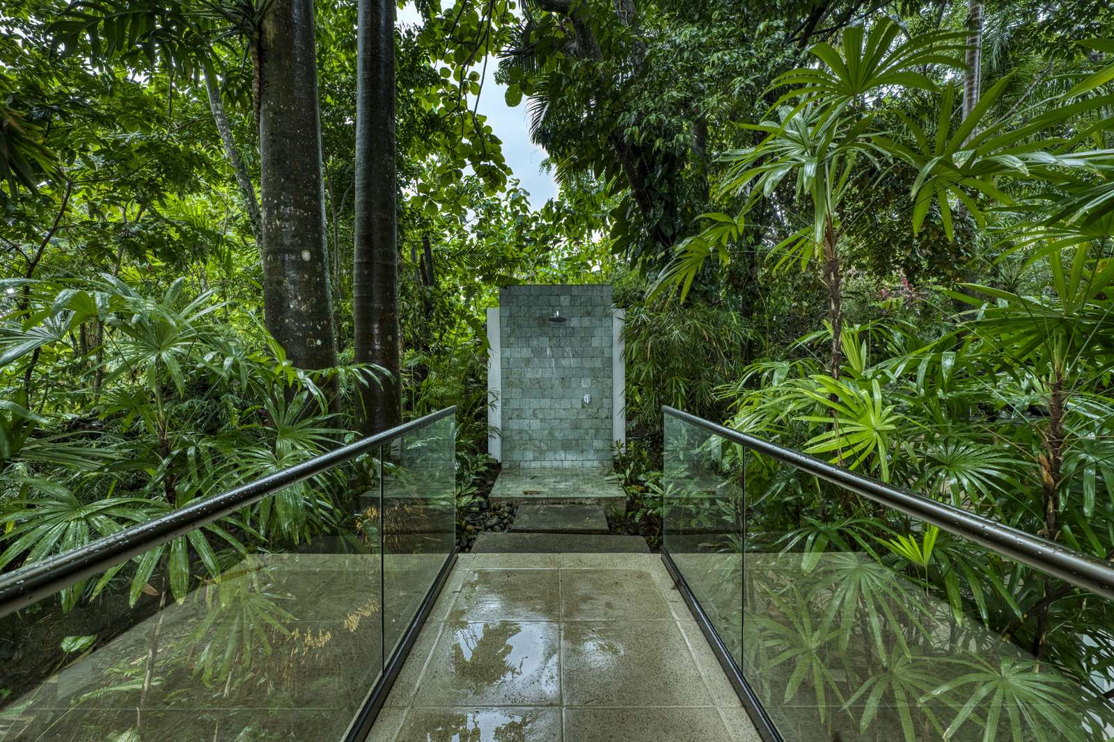 Casa SolAngelo &mdash; the walkway in through the jungle