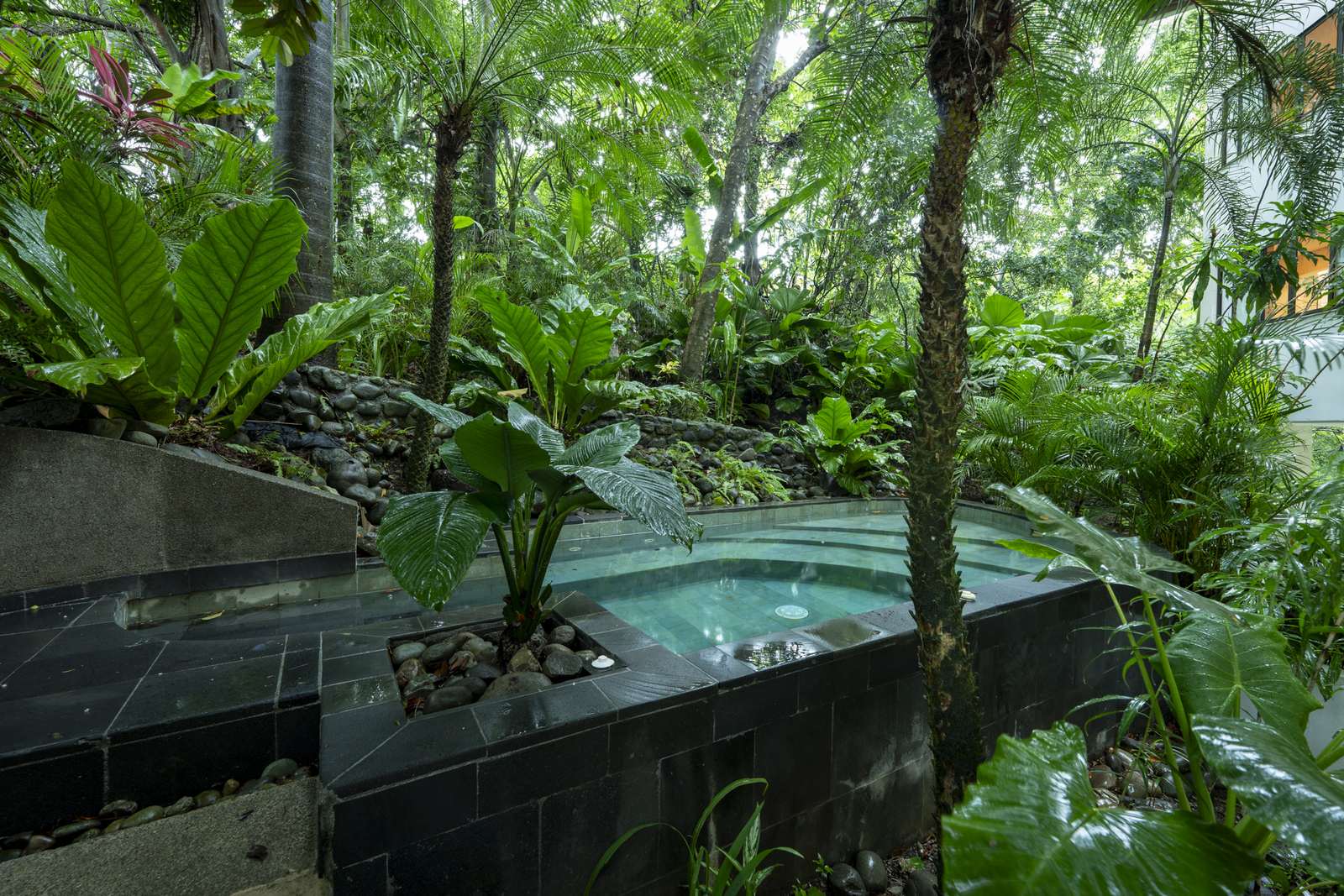Casa SolAngelo &mdash; the secluded jacuzzi on the jungle side