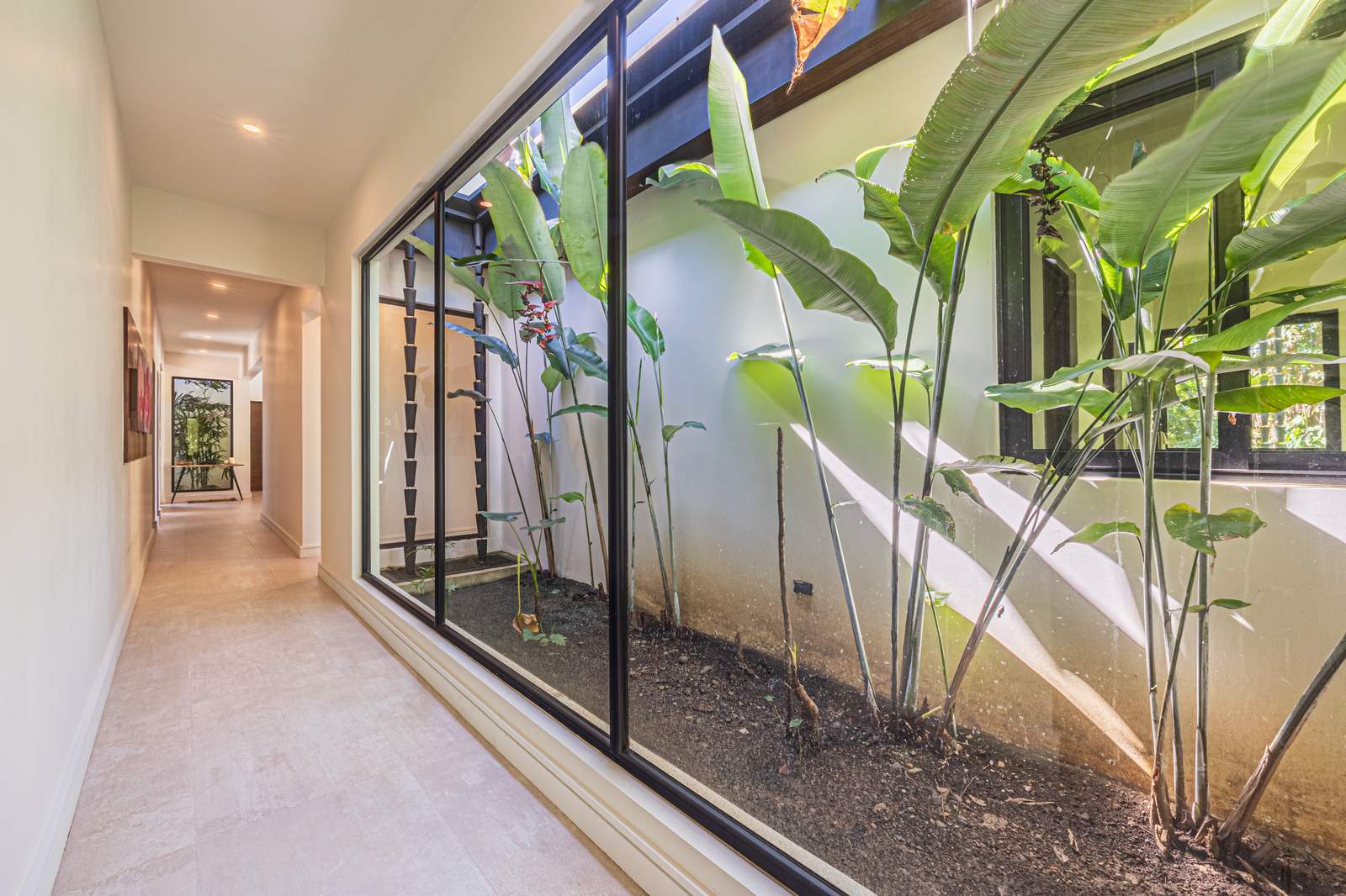 Casa Tango &mdash; A corridor lit by a planted lightwell