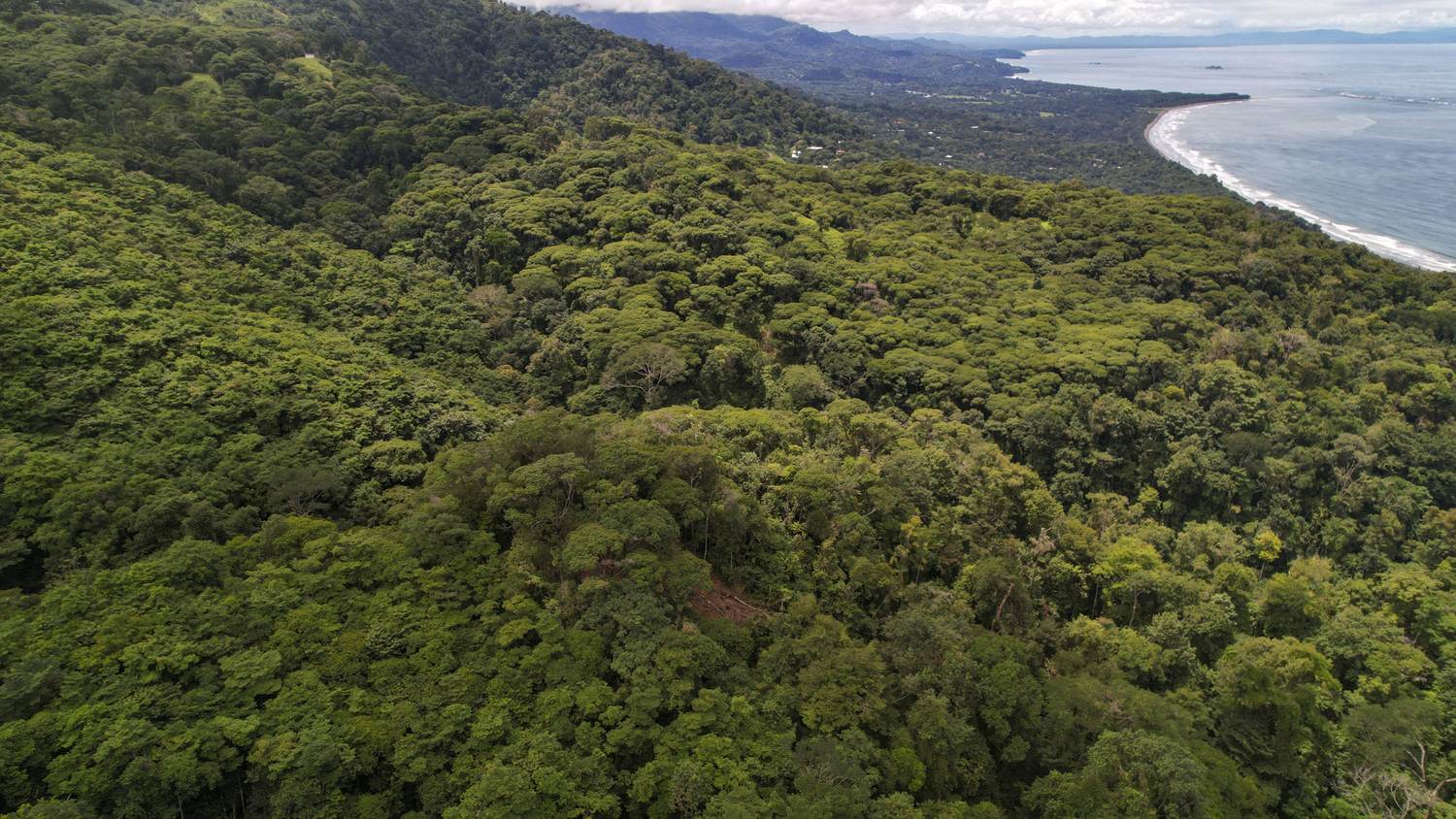 Costa Verde Estates titled lot &mdash; the coast and the beach from above the parcel