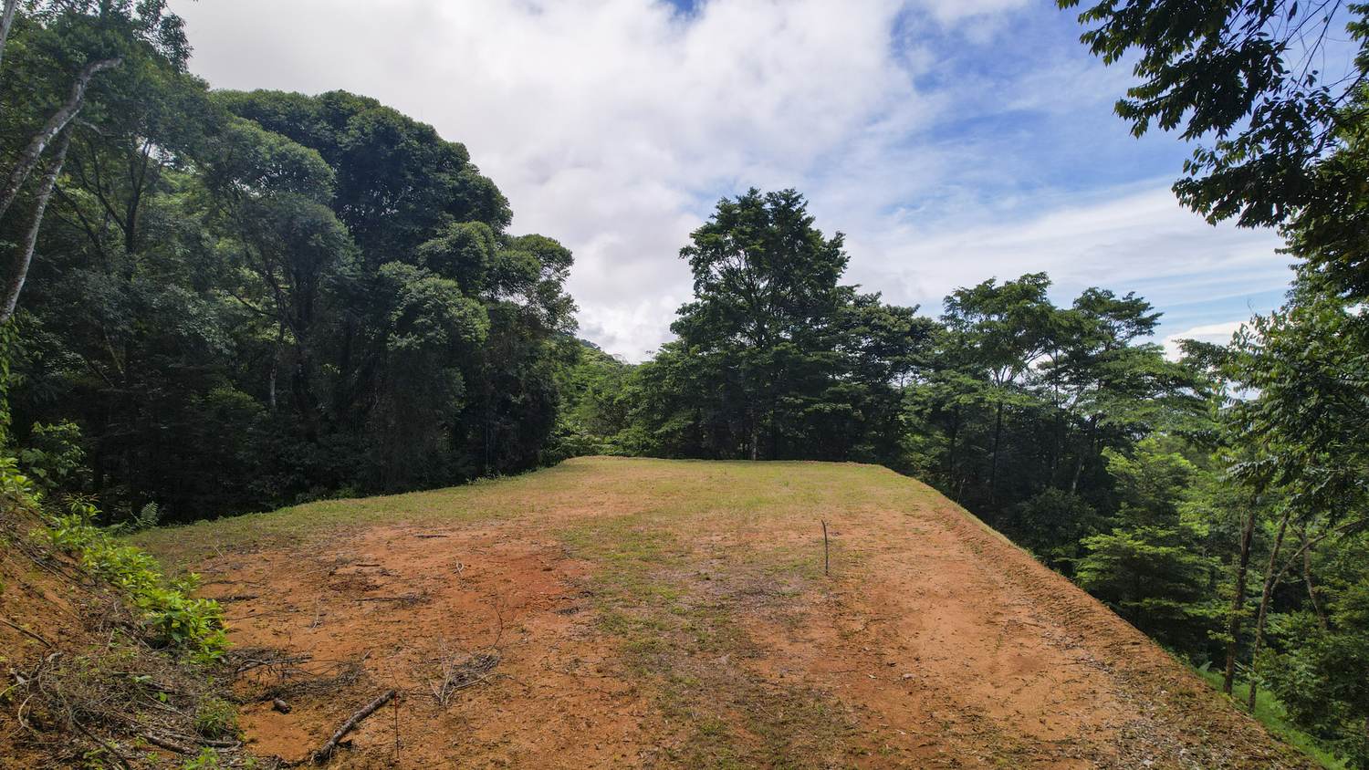 Costa Verde Estates titled lot &mdash; the cleared building area at the top of the parcel