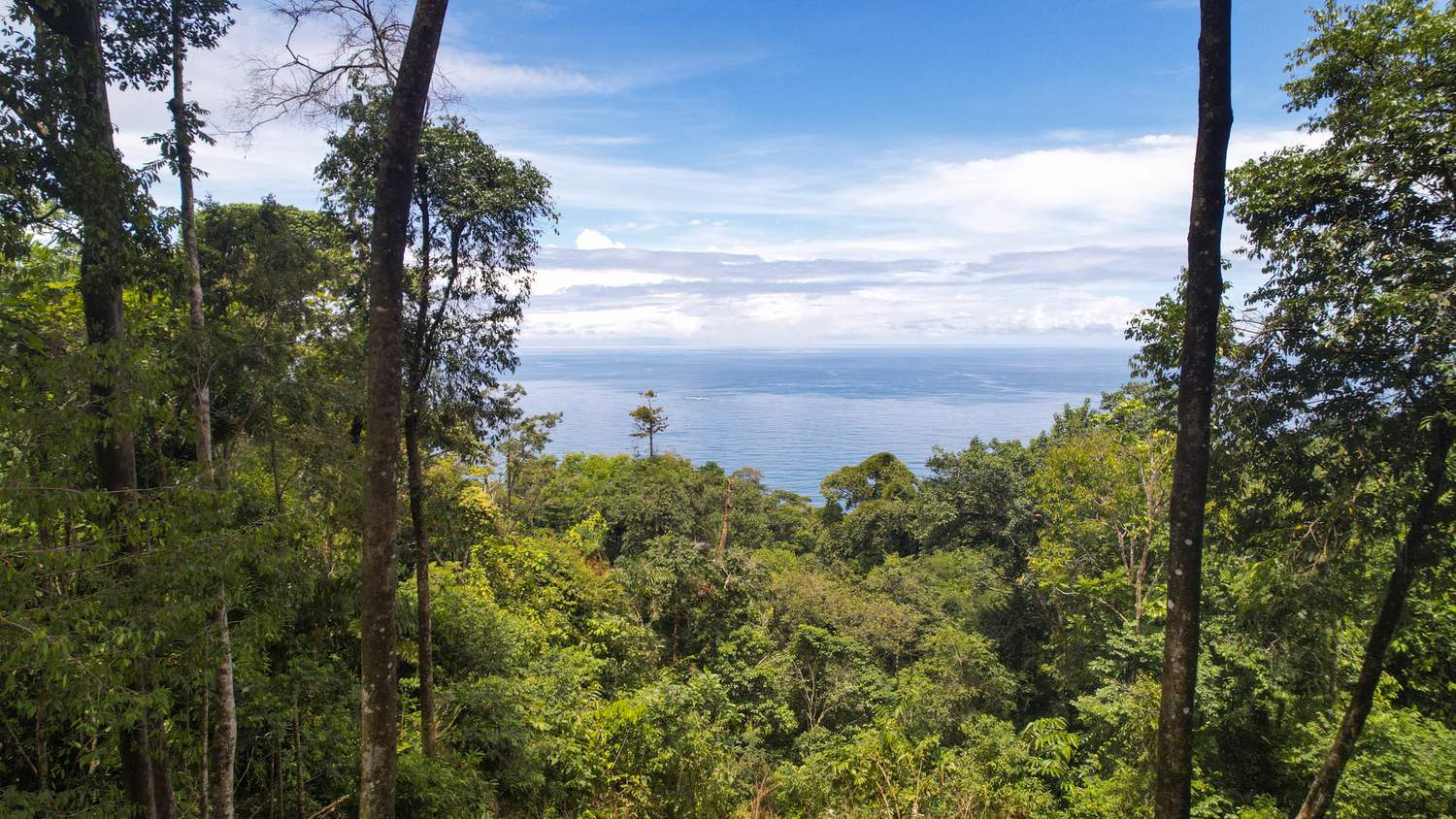 Costa Verde Estates titled lot &mdash; the ocean view from inside the lot