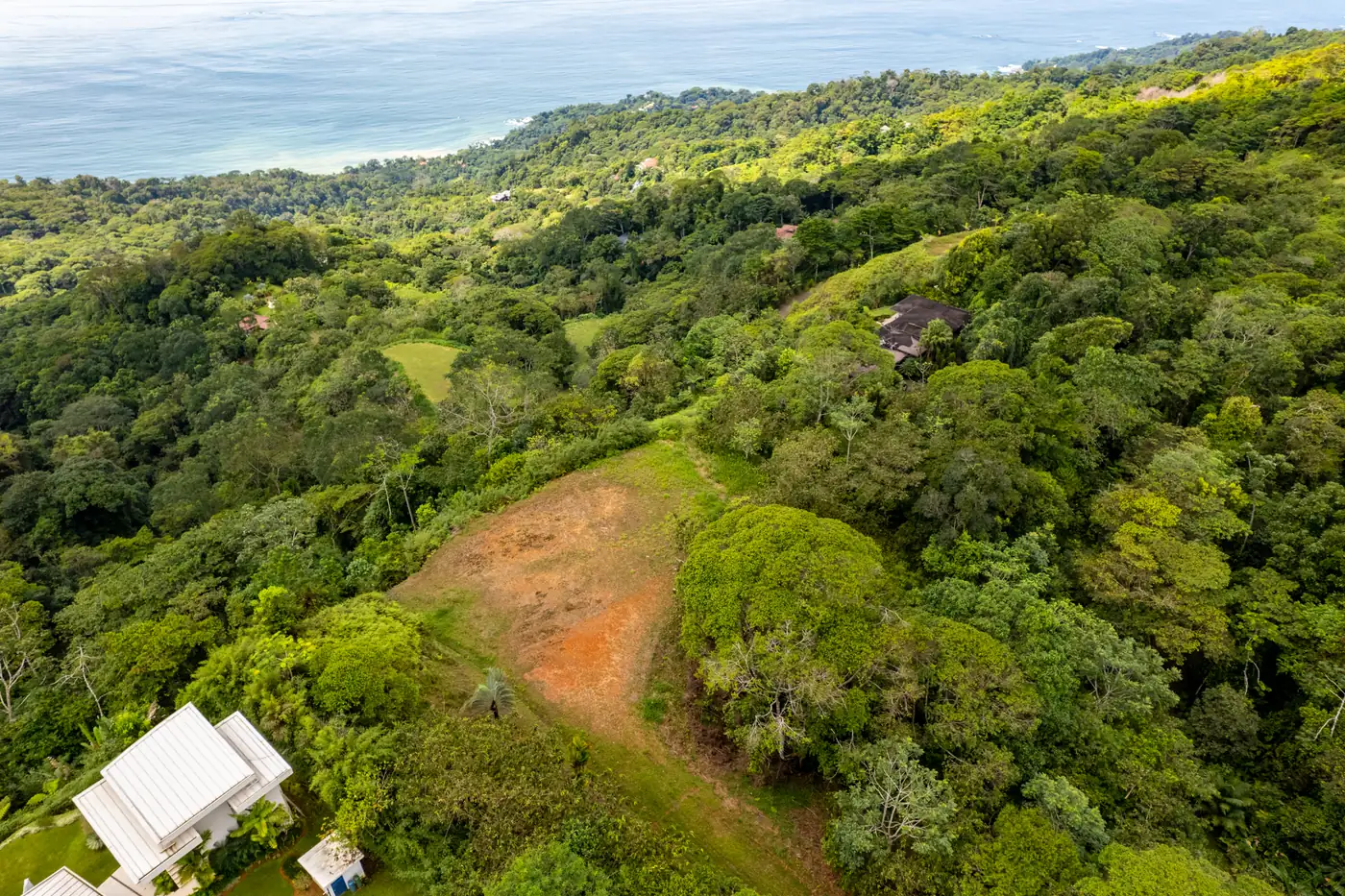 Lot 65 seen from the ridge above, the graded pad set into the rainforest