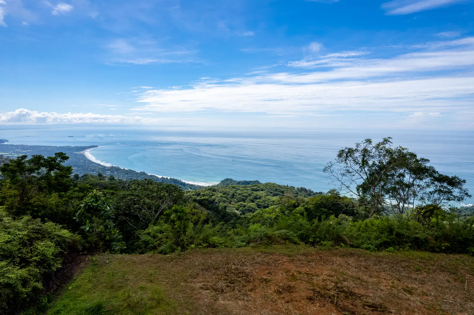 The ocean view from the building pad on Lot 65, looking out over the canopy