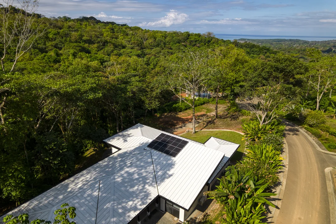 Dulce Pac&iacute;fico &mdash; the house and drive from above