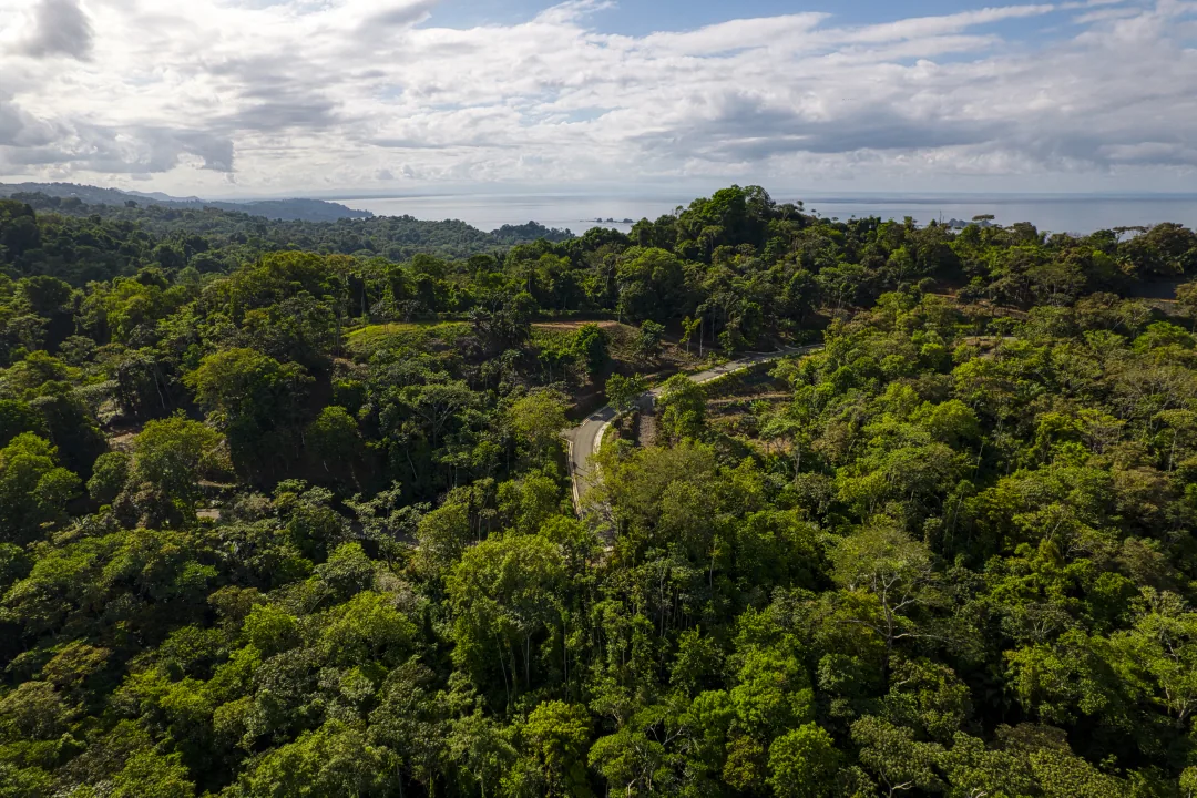Dulce Pac&iacute;fico &mdash; the setting from the air