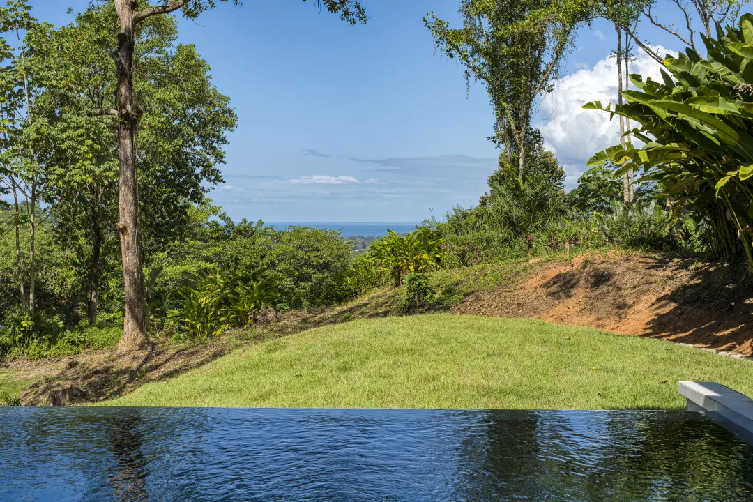 Dulce Pac&iacute;fico &mdash; the pool and the view