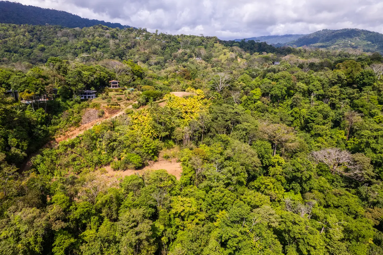 Finca La Cascada &mdash; forest across the rest of the property