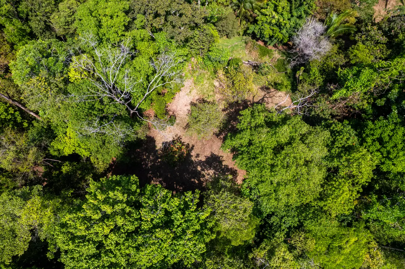 Finca La Cascada &mdash; the canopy from above