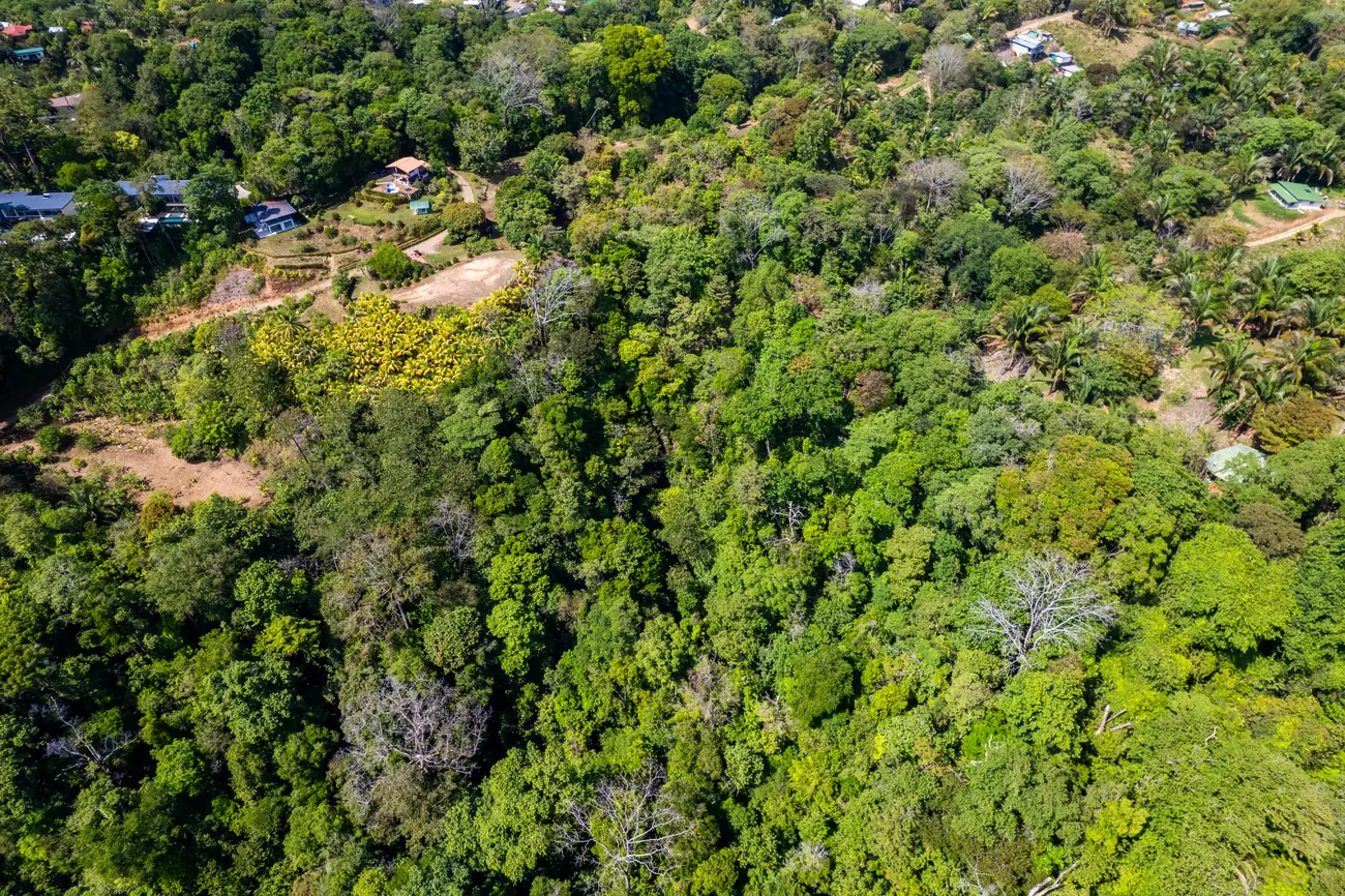 Finca La Cascada &mdash; tracks running through the land