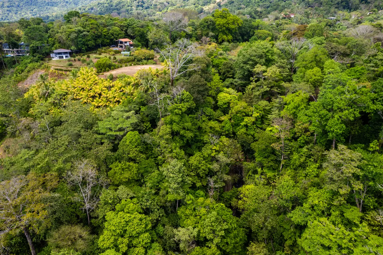 Finca La Cascada &mdash; one of the three existing houses, among the trees
