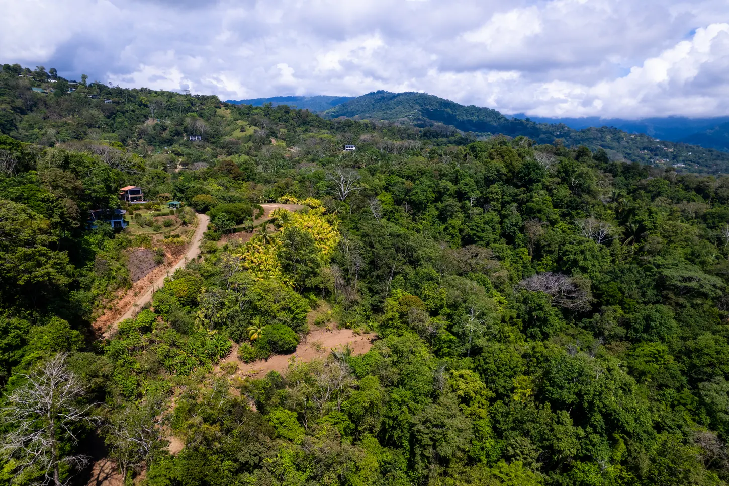 Finca La Cascada &mdash; the ridge, with the mountains behind