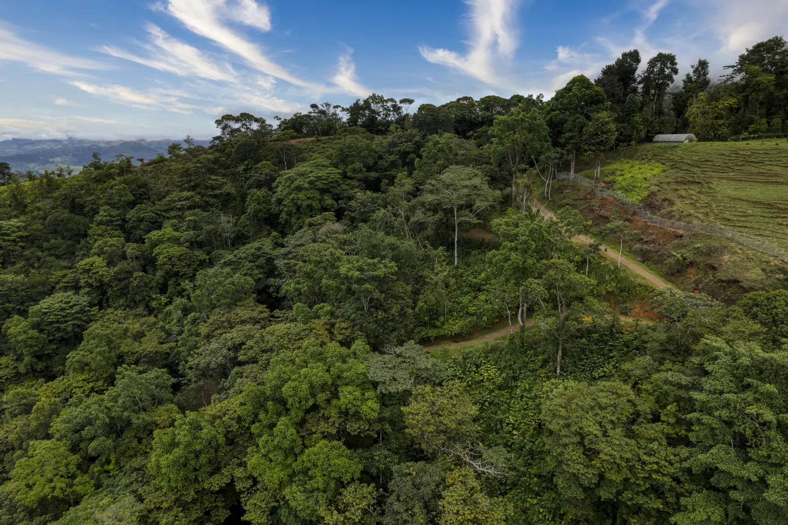 Finca Tres Cascadas &mdash; the land from above, the internal road running through it