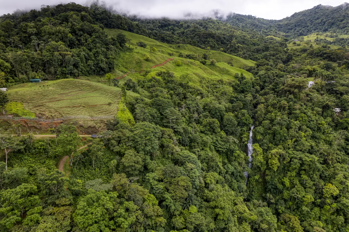 Finca Tres Cascadas &mdash; open pasture meeting the forest edge