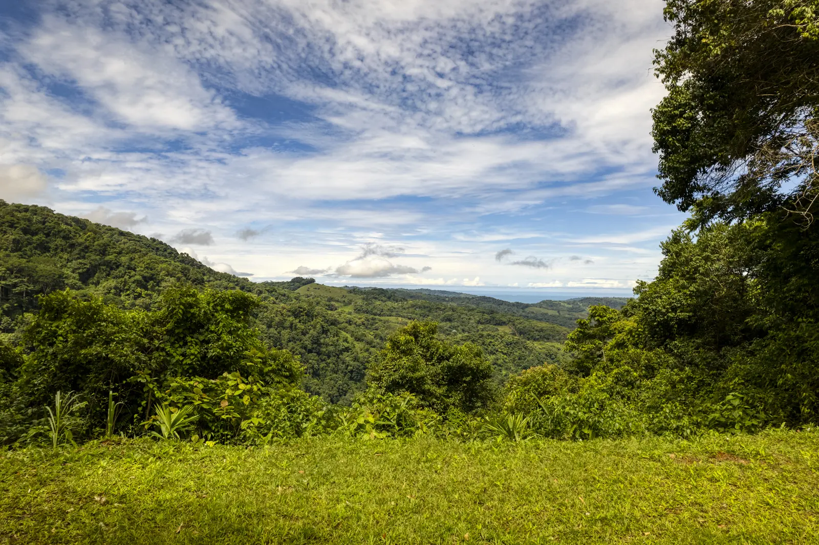 Finca Tres Cascadas &mdash; the meadow and the sky above the highlands