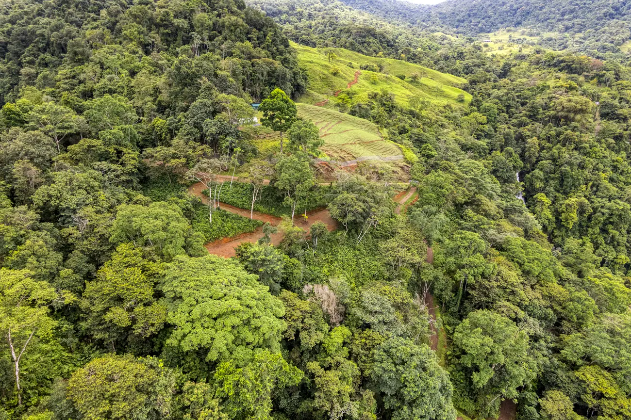 Finca Tres Cascadas &mdash; the internal road running down through the property