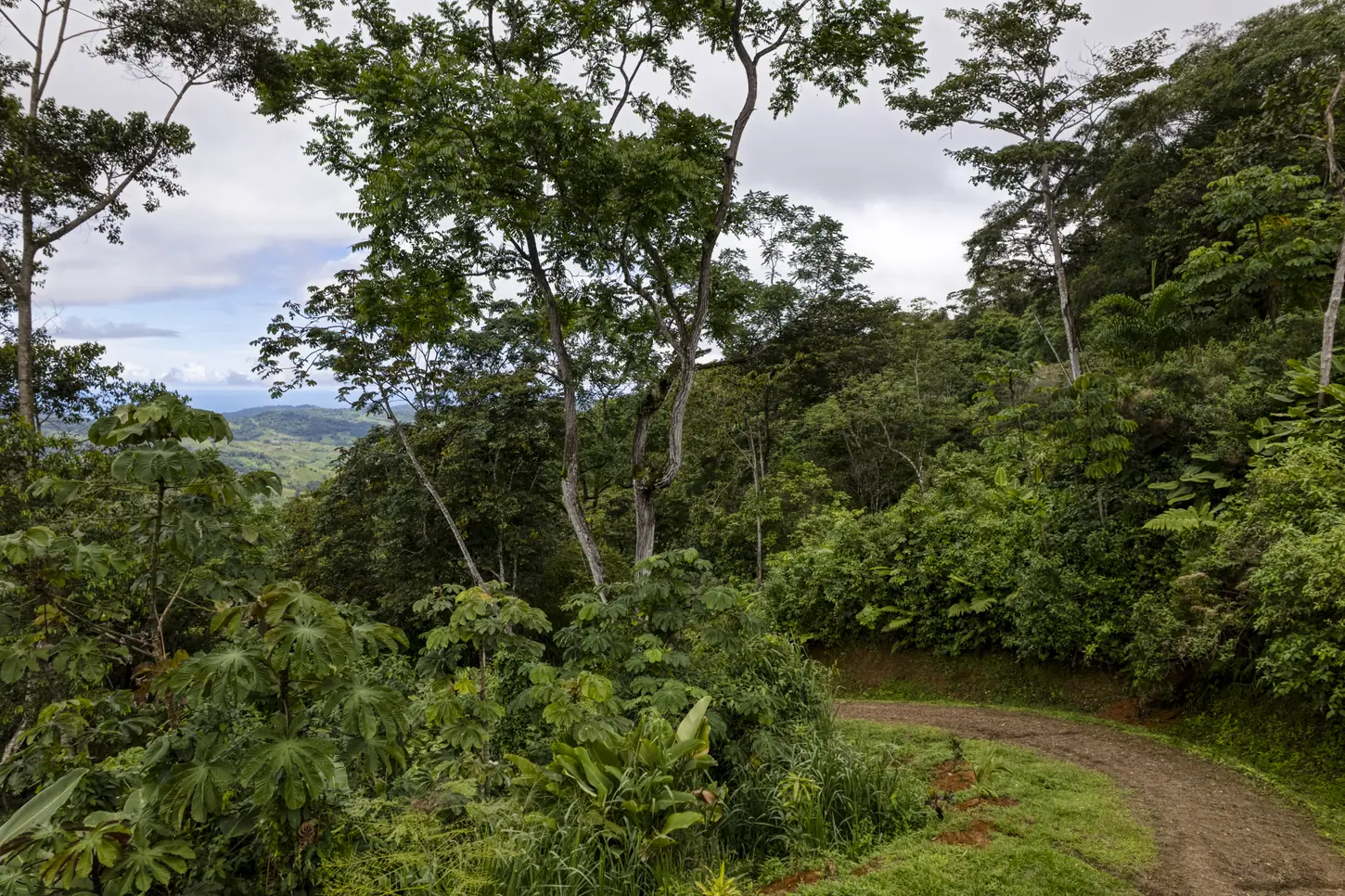Finca Tres Cascadas &mdash; a clearing with the long view out