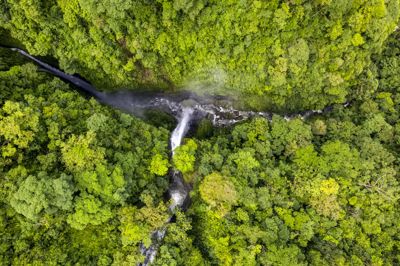 Finca Tres Cascadas &mdash; the river cutting through the canopy