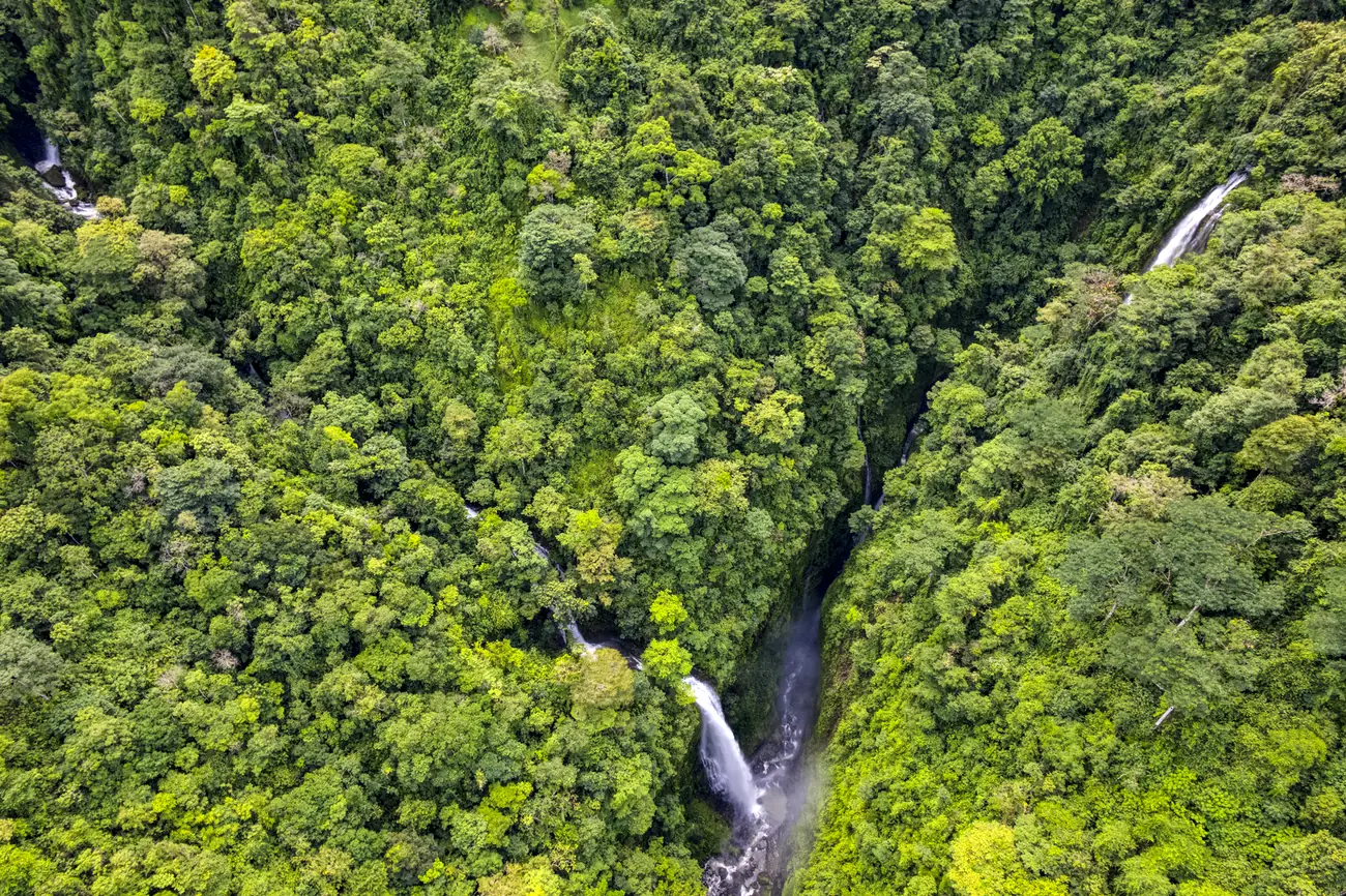 Finca Tres Cascadas &mdash; one of the falls, dropping through the canopy