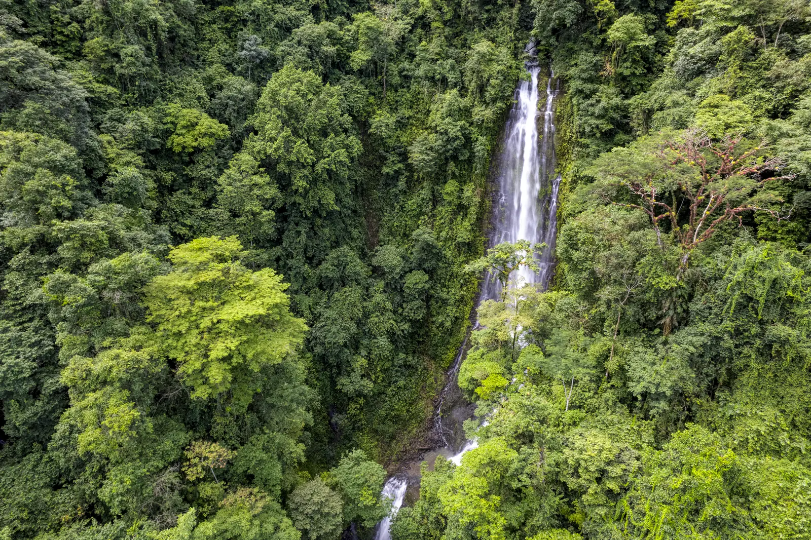 Finca Tres Cascadas, one of its three year-round waterfalls dropping through the canopy
