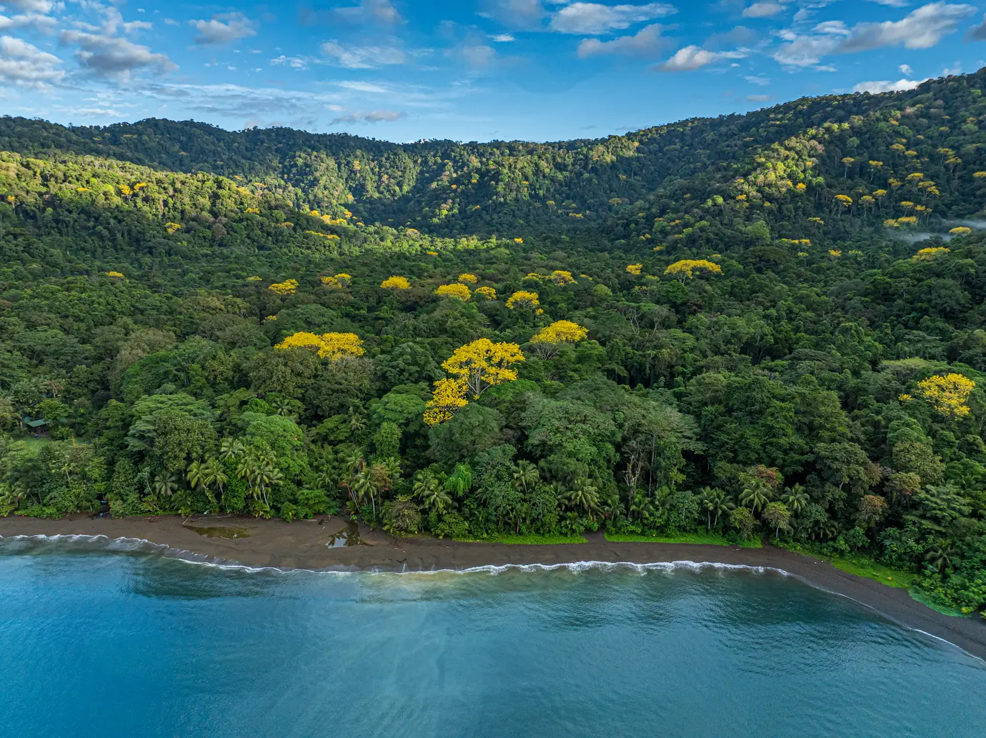 680-acre Golfo Dulce estate &mdash; The Golfo Dulce and the estate&rsquo;s forest from the air