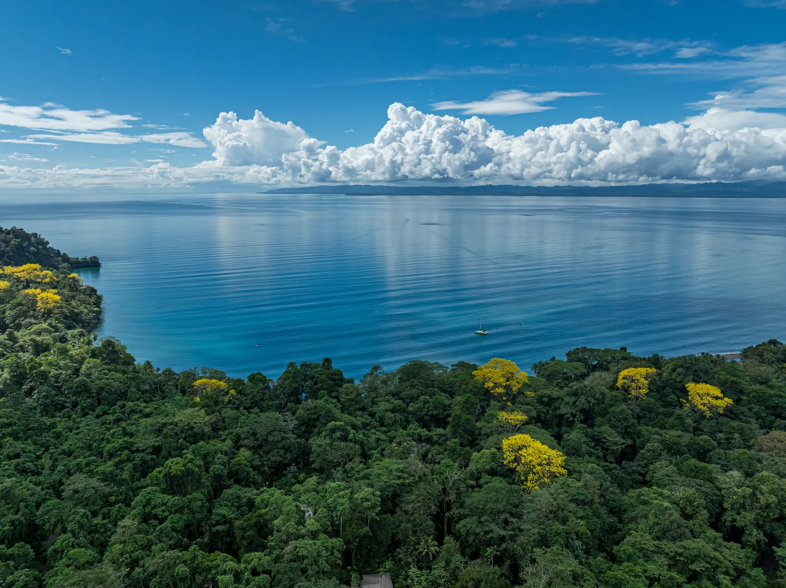 680-acre Golfo Dulce estate &mdash; The Golfo Dulce under morning cloud, forest running to the shoreline
