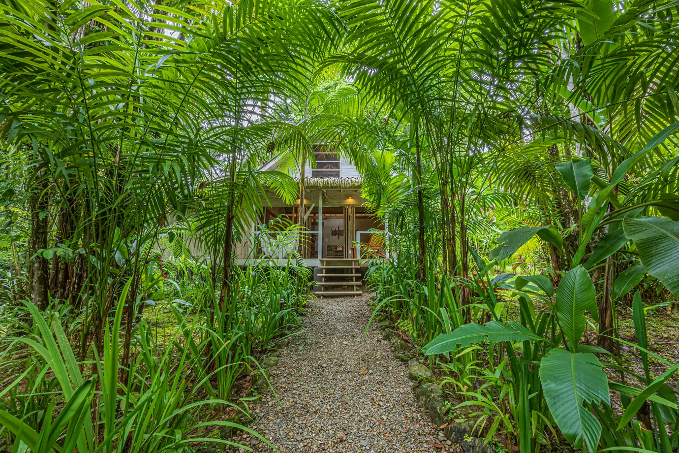 680-acre Golfo Dulce estate &mdash; The path in to the cabins through the palms