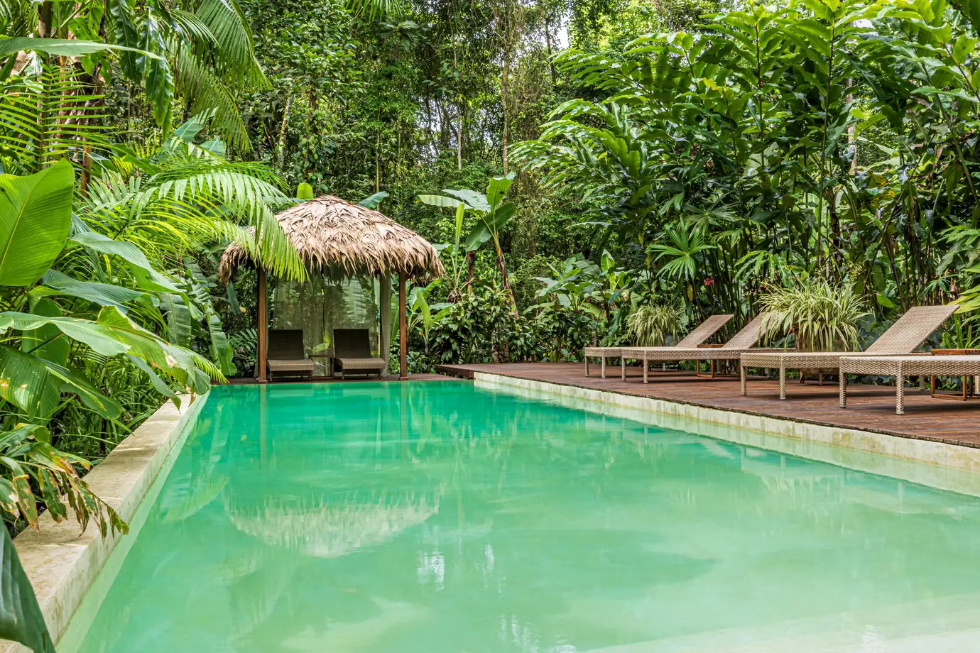 680-acre Golfo Dulce estate &mdash; The pool set into the rainforest, with a thatched shade structure