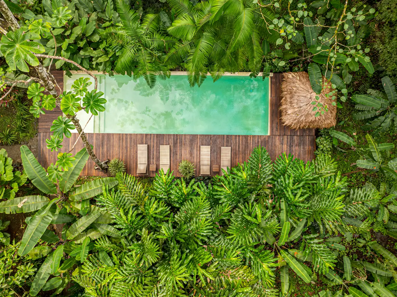 680-acre Golfo Dulce estate &mdash; The lap pool from above, surrounded by planting