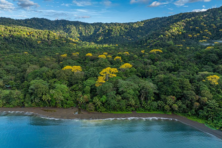 680-Acre Titled Estate, Golfo Dulce, Piedras Blancas