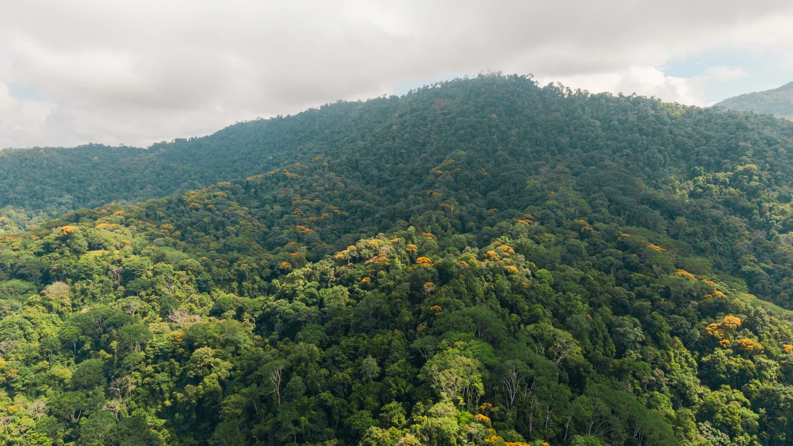 La Malouma &mdash; the ridgelines under cloud