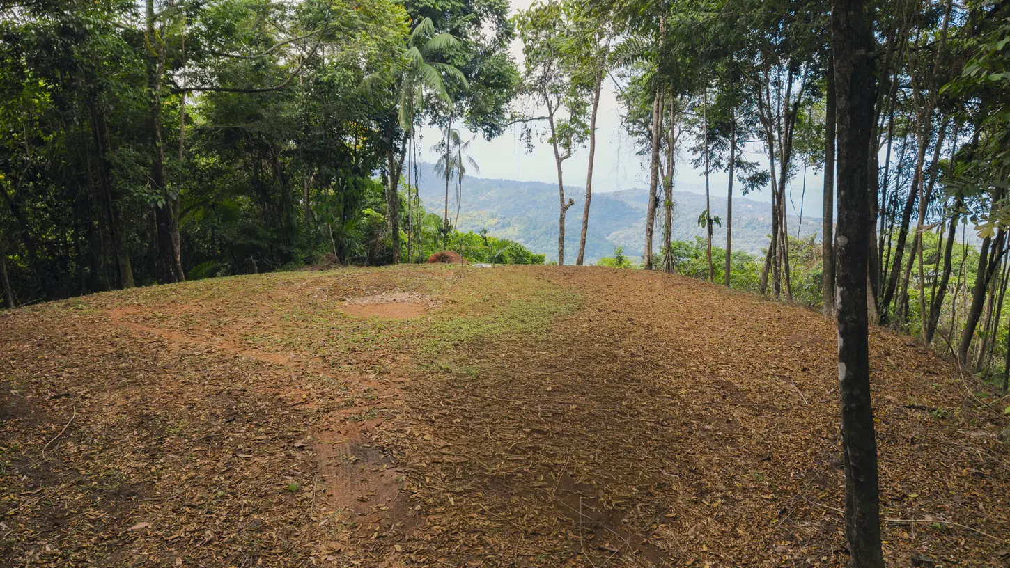 La Malouma &mdash; a cleared pad with the outlook already opened