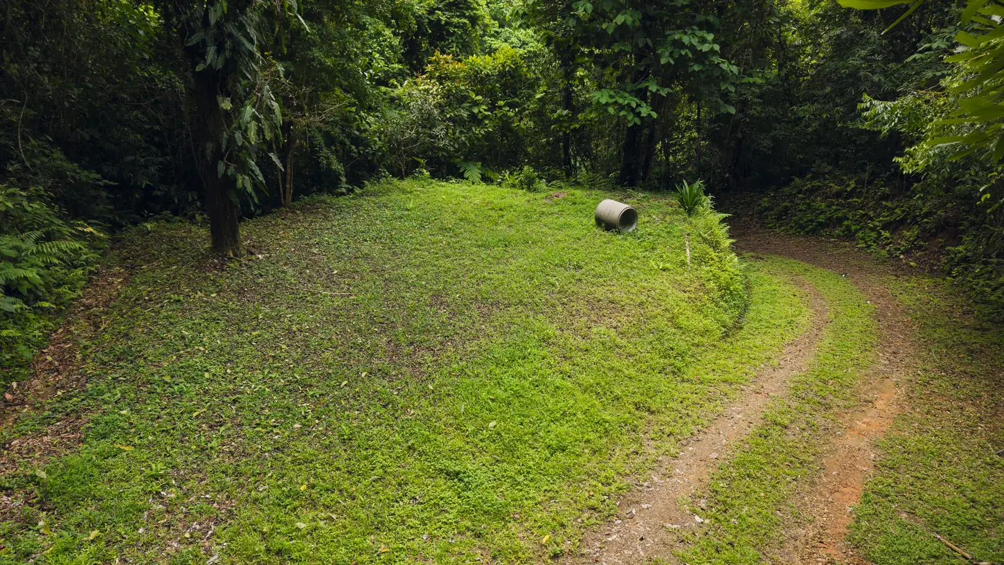 La Malouma &mdash; the clearing where the track arrives