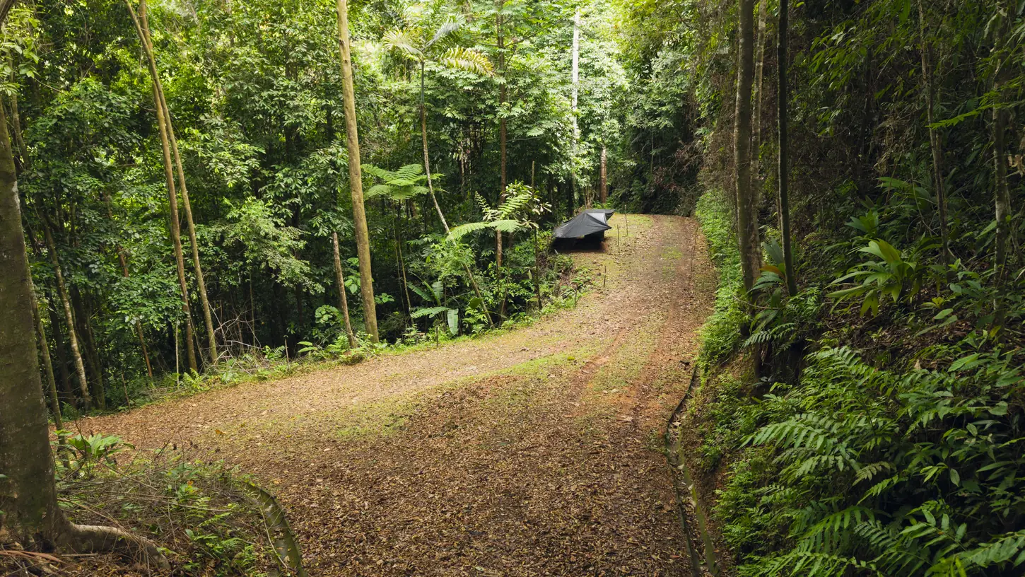 La Malouma &mdash; the road running in through the forest