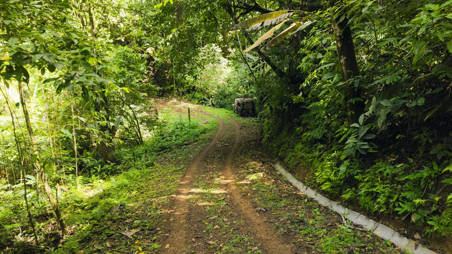 La Malouma &mdash; the internal road system