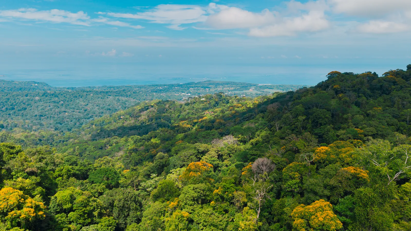 La Malouma &mdash; the view corridor opening toward the Pacific