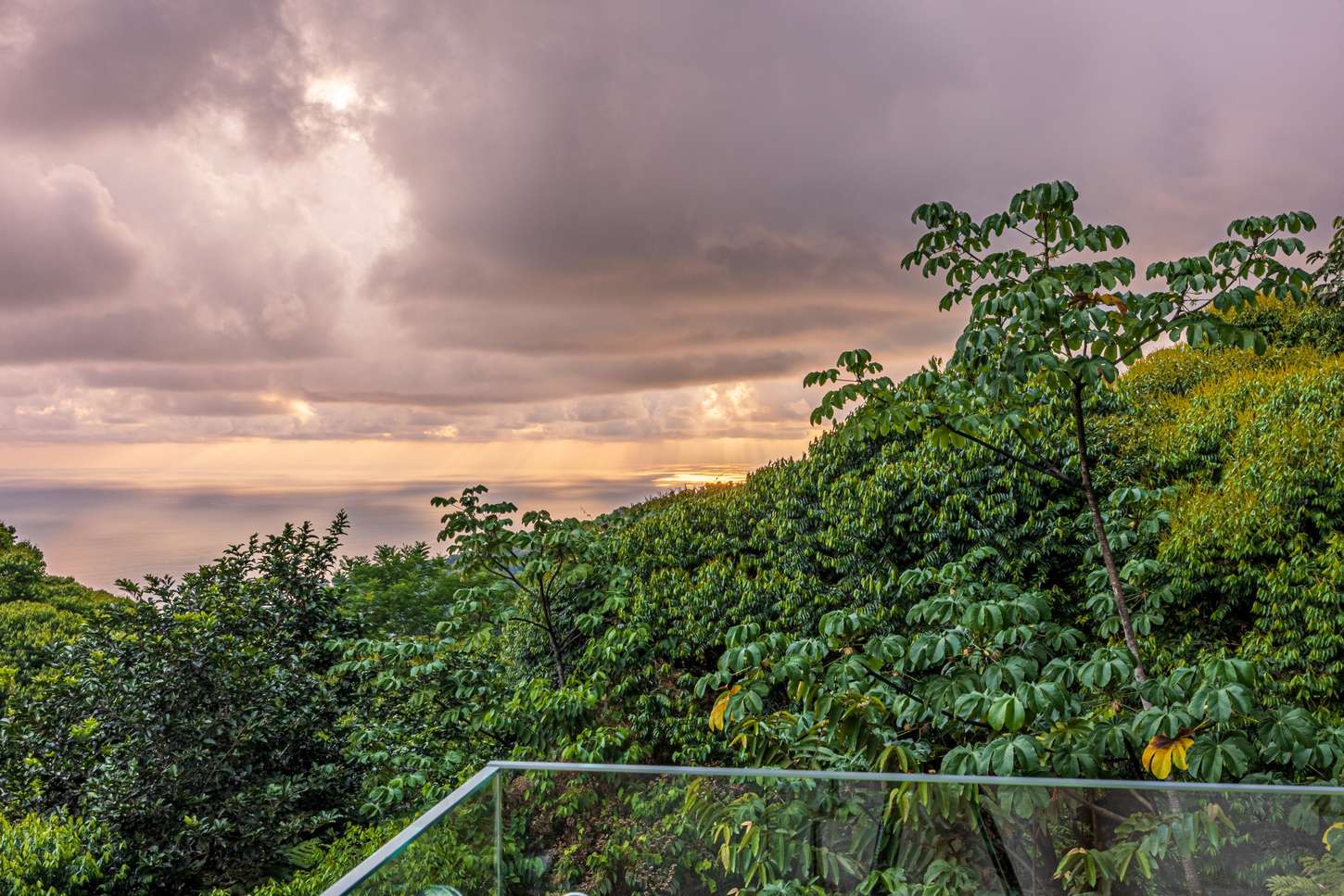 &iexcl;Que Brava! &mdash; sunset from the terrace